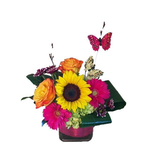 Bright bouquet with sunflower, pink gerberas, orange roses, green blooms in a square vase, adorned with two butterflies.
