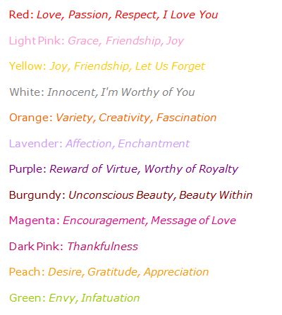 rose-meanings-just-roses-plus.jpg