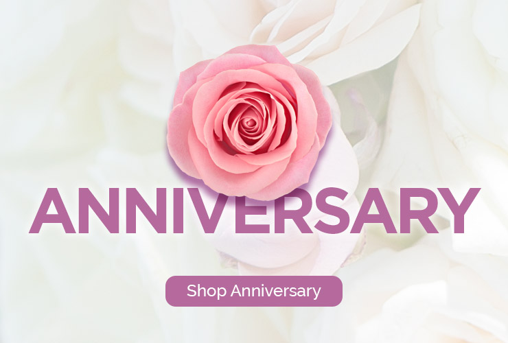 shop anniversary