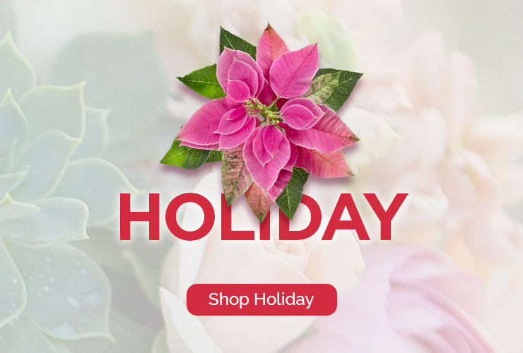Cheap Flower Delivery Spokane Washington Best Flower Site