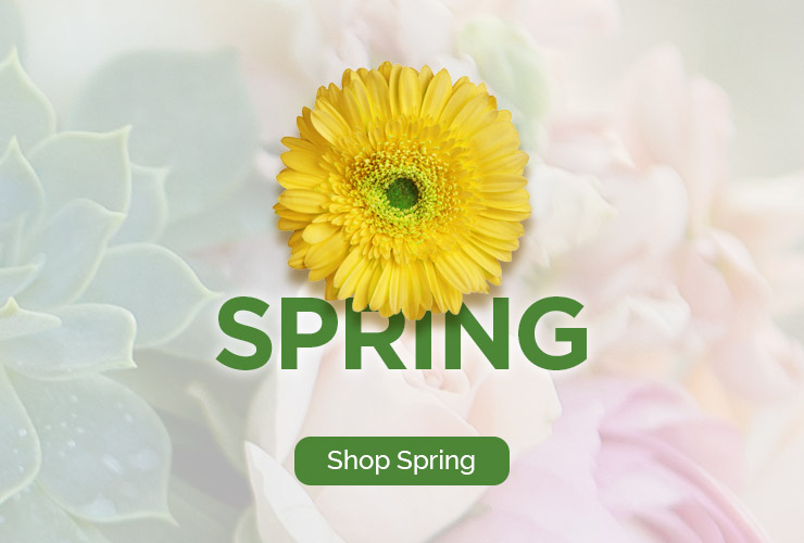 Spring Flowers